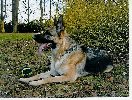 elsa daxis - jaro 2006.jpg | Chovatelská stanice Daxis